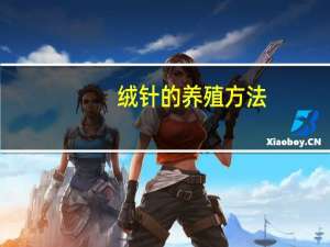 绒针的养殖方法