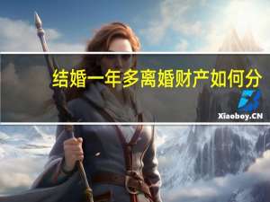 结婚一年多离婚财产如何分