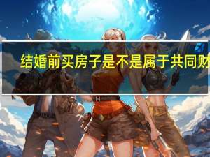 结婚前买房子是不是属于共同财产