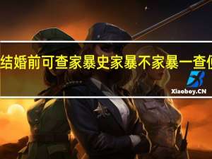 结婚前可查家暴史 家暴不家暴一查便知道