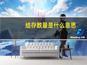 结存数量是什么意思