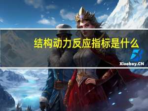 结构动力反应指标是什么