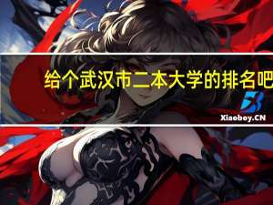 给个武汉市二本大学的排名吧