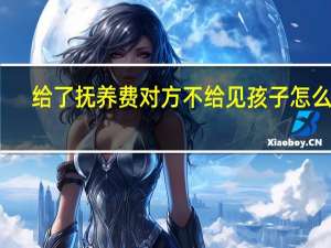 给了抚养费对方不给见孩子怎么办