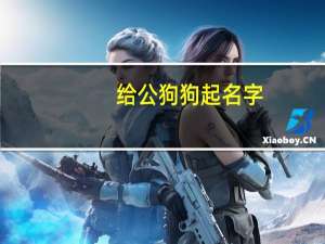 给公狗狗起名字