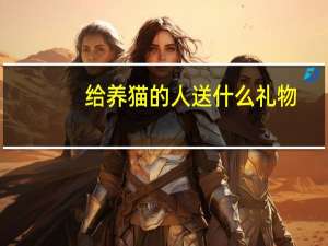 给养猫的人送什么礼物