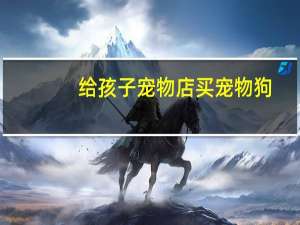 给孩子宠物店买宠物狗