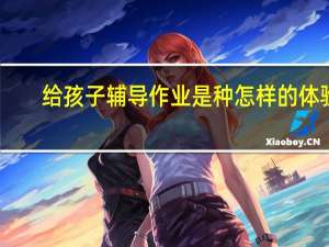 给孩子辅导作业是种怎样的体验