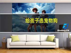 给孩子选宠物狗