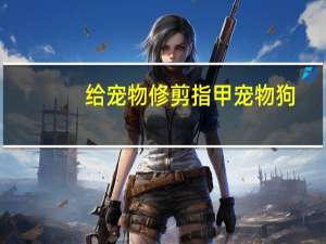 给宠物修剪指甲宠物狗