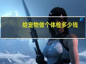 给宠物做个体检多少钱
