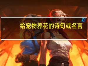 给宠物养花的诗句或名言