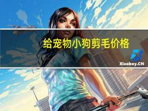 给宠物小狗剪毛价格