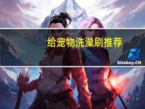 给宠物洗澡刷推荐