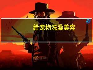 给宠物洗澡美容