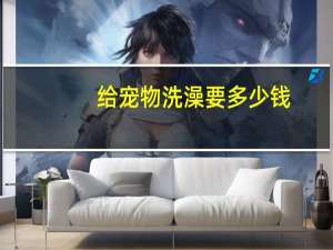 给宠物洗澡要多少钱