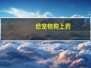 给宠物狗上药