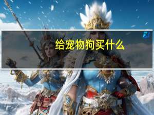 给宠物狗买什么