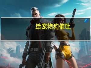 给宠物狗催吐