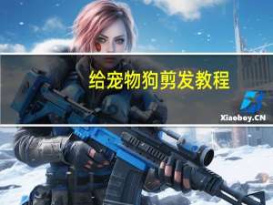 给宠物狗剪发教程