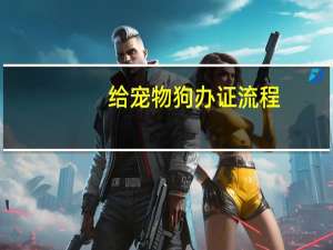 给宠物狗办证流程