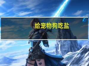 给宠物狗吃盐