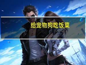 给宠物狗吃饭菜