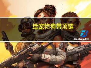 给宠物狗带项链