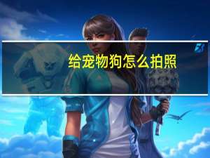 给宠物狗怎么拍照