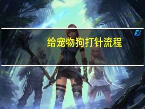 给宠物狗打针流程