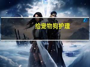 给宠物狗护理