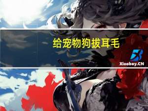 给宠物狗拔耳毛