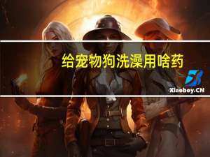 给宠物狗洗澡用啥药