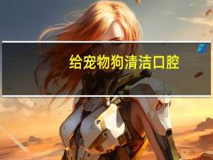 给宠物狗清洁口腔