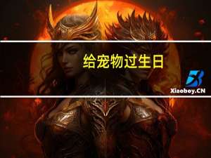 给宠物过生日
