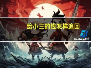 给小三的钱怎样追回