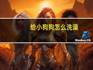 给小狗狗怎么洗澡
