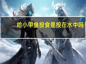 给小甲鱼投食是投在水中吗