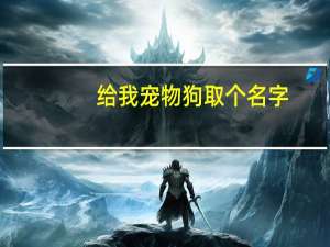 给我宠物狗取个名字