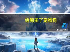 给狗买了宠物狗