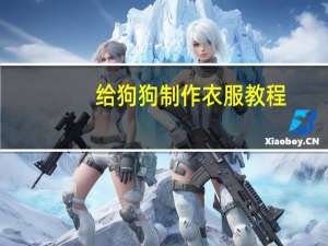 给狗狗制作衣服教程