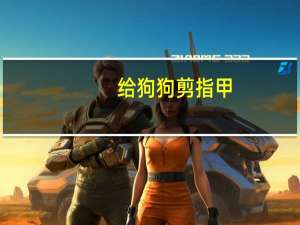 给狗狗剪指甲