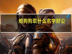 给狗狗取什么名字好公