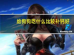 给狗狗吃什么比较补钙好