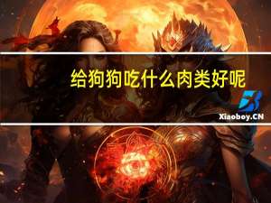 给狗狗吃什么肉类好呢