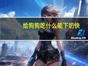 给狗狗吃什么能下奶快