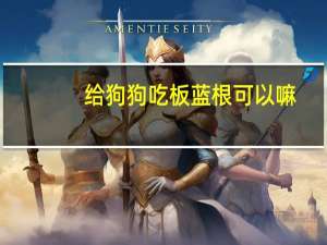 给狗狗吃板蓝根可以嘛
