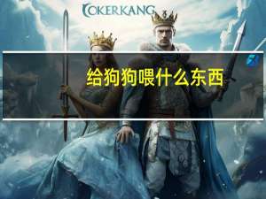 给狗狗喂什么东西