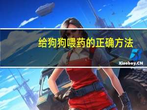 给狗狗喂药的正确方法