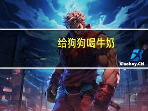 给狗狗喝牛奶